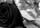 Tragedie în lumea filmului. Un actor URIAȘ a murit ÎMPUȘCAT. Anunțul autorităților a șocat