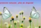 FELICITARI de 1 MARTIE // Cele mai frumoase FELICITARI pentru mama, iubita, sefa