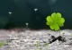 Horoscop 16 martie 2020. Bogății nesperate pentru o zodie. Ce noroc pe capul ei!