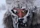 ALERTĂ METEO. Fenomene EXTREME SEVERE: furtuni, grindină. Revin lapoviţa şi ninsorile - HARTA