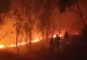 18 pompieri și un ghid local și-au pierdut viața într-un puternic incendiu forestier din sud-vestul Chinei