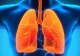 Aşa îţi detoxifici plămânii în 48 de ore. Cura pe care toată lumea trebuie să o urmeze