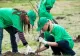 De săptămâna viitoare începe o amplă campanie de plantare arbori în localitățile din vecinătatea Sucevei