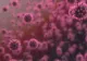 Coronavirus. ANUNȚUL cercetătorilor germani: Când nu mai este contagios un pacient cu COVID-19