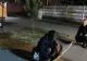 VIDEO Au încălcat ordonanțele ca să se ducă la pescuit ilegal pe Mureș