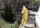 Primăria București a început lupta împotriva căpușelor și tânțarilor