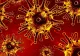 Coronavirus: încă 740 de decese COVID-19 în spitale din Anglia. Numărul total de decese a ajuns la 12.396 de cazuri