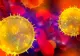 Cel puțin 368.449 de cazuri de coronavirus în SUA; numărul deceselor se apropie de 11.000