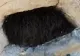 Credea că e un animal. L-a atins, dar s-a dezlănțuit COȘMARUL! Ce era, de fapt, acolo
