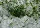 Informare meteo de vreme rea. România, lovită de furtuni și grindină 