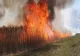 O femeie de 72 de ani a vrut să stingă un incendiu de vegetație, dar s-a ales cu arsuri de gradul II și III