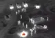 VIDEO Evadarea din Pătrăuți. Au fugit din carantină ca să facă un grătar pe câmp