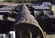 VIDEO Pacientă vindecată de COVID-19 în Spitalul millitar ROL 2: Am avut noroc 