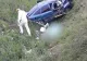 Accident violent în Olt. O tânără în vârstă de 19 ani a murit