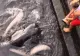 Au filmat copilul jucându-se cu "noul prieten". Când și-au dat seama ce e creatura, au înghețat!