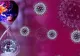 CORONAVIRUS după 5 luni: Aproape 4,2 milioane de oameni INFECTAȚI și peste 283.000 de oameni UCIȘI la nivel global