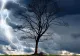 Alertă meteo. România, lovită de fenomene meteo EXTREME: furtuni și grindină
