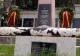 GAFĂ de proporții la Turda, de Ziua Eroilor! Coroane și onoruri militare pentru soldații sovietici în locul celor români