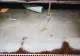 VIDEO Imagini revoltătoare în piețe din Constanța. Focare de infecție mai periculoase decât coronavirusul