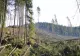 Fenomenele meteo extreme au pus la pământ peste 2,2 milioane metri cubi de lemn! Mesajul Ministrului Mediului