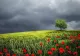 Prognoza meteo pe două săptămâni. Schimbări majore: cum va fi vremea până pe 24 mai