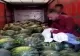 Pakistanezi ascunși într-un camion încărcat cu pepeni, depistați în vreme ce încercau să intre ilegal în țară