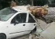 VIDEO/ Copac căzut peste trei mașini în Pitești