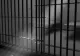 Angajat de la Penitenciarul Craiova, infectat cu coronavirus. CE măsuri au fost luate