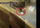 VIDEO - Accident spectaculos - Un cal înhămat la căruță izbește din plin un autoturism