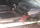 FOTO/ Șofer beat și cu permis provizoriu, accident pe Autostrada A2