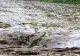 VIDEO + FOTO: Ploile torențiale au făcut ravagii în Bistrița 