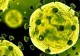 Vești bune din Italia! Continuă trendul descendent COVID-19: Cel mai mic număr de cazuri noi de infectare de la izbucnirea epidemiei