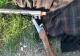 Un nou atac brutal asupra unui pădurar. Hoții l-au lovit în cap și i-au luat arma