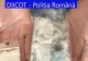 DIICOT a destructurat un grup infracțional organizat specializat în săvârșirea infracțiunilor de trafic de DROGURI de mare risc