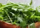 Adevărul despre rucola! Ce au descoperit oamenii de știință? Schimbă tot ce știai până acum