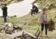 Gest revoltător, în Munții Făgăraș: o turistă a smuls din rădăcină o tufă de bujori. Mesajul Salvamont