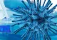 China este la un pas de obținerea unui vaccin anti-COVID-19. Concluziile după testele pe animale