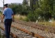 Incident ȘOCANT la Brașov: o persoană a fost ucisă de tren