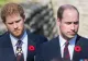 O nouă criză în familia regală britanică. Prinții William și Harry și-au împărțit banii. Ce urmează