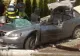Accident teribil: un tânăr a murit, după ce un stâlp i-a căzut pe mașină