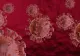 Peste 10 focare active de coronavirus în județul Buzău, cu infectări la DSP, Poliție și în centre pentru copii