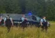 Urșii și-au făcut din nou simțită prezența în județul Harghita. Patru apeluri în ultimele 24 de ore!