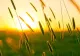 Prognoza meteo o lună. Schimbări radicale: cum va fi vremea până pe 10 august