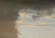 Fenomen spectaculos: tornadă în Prahova