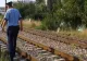 Incident tragic pe calea ferată: Un urs a murit, după ce a fost lovit de tren