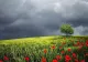 Prognoza meteo 28 iulie. Vremea extremelor: caniculă, ploi și vijelii