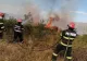 FOTO Incendiu puternic de vegetație, în Tulcea.150 de hectare de vegetație uscată și viță-de-vie, distruse