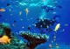 Grecia a inaugurat un obiectiv turistic inedit