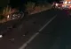 Județul Constanța: Accident mortal. Un motociclist a intrat într-o turmă de capre