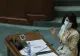 Violeta Alexandru continuă campania de digitalizare a Ministerului Muncii. CUM vine instituția în sprijinul viitorilor pensionari